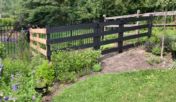 painted black fence for the fruit garden